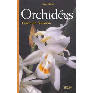 Orchidées : Guide de l'amateur 