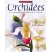 Le Grand Livre Des Orchidées - Les Connaître Les Choisir Les Cultiver Brian Rittershausen 
