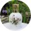 LAMPE BERGER PORCELAINE DE LIMOGES DECOR OISEAUX