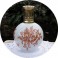 LAMPE BERGER Camille Tharaud RF