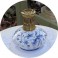 LAMPE BERGER FAIENCE DT genre DELT